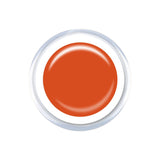 BLINGline Australia DARCY Colour Gel - Venus Nail Art Supplies